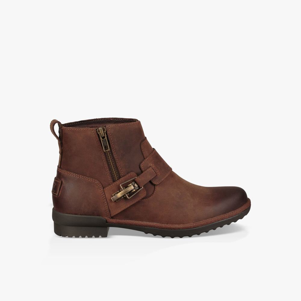 Bottine UGG Cheyne Femme Marron Soldes 627YASPV